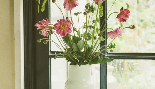 【今週の花と器】秋明菊と〈1616/arita japan〉の《S&B ベース ロー》｜8月