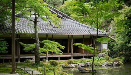 そうだ 京都、行こう。青紅葉が美しい夏の京都で“癒し”をめぐるおすすめ旅ルート
